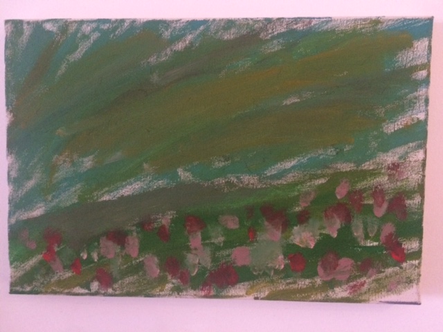 campo de oz IMG_1573